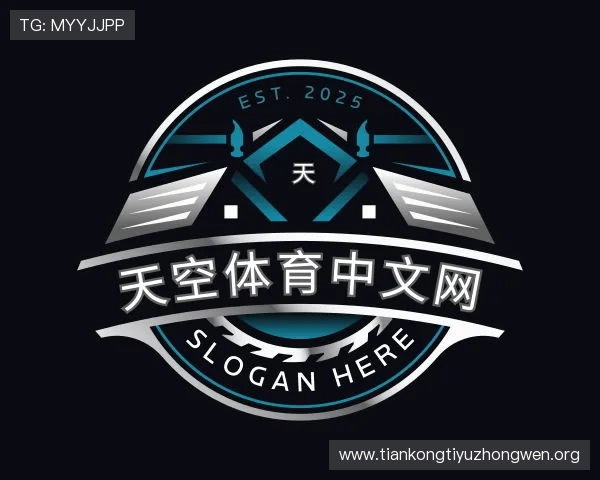 关于天空体育中文网